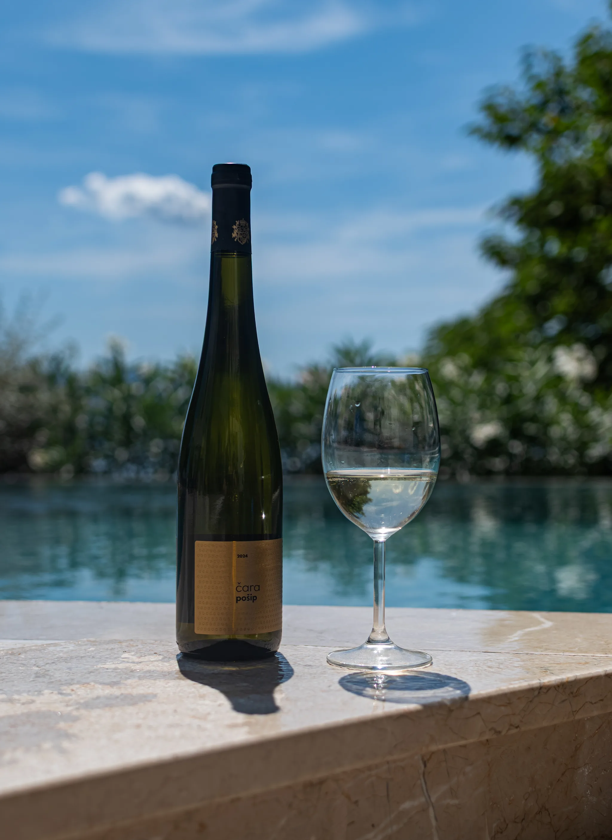 Čaša vina uz bazen s pogledom na more, Villa Carica